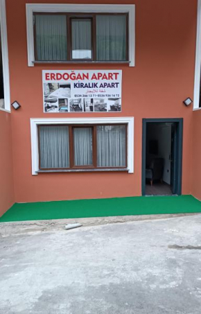 Erdoğan Apart